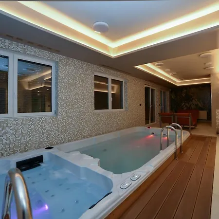 Laguna 10 - Mini * ポラニツァ・ズドゥルイ