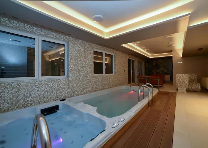 Laguna 10 - Mini * 波兰尼卡-兹德鲁伊